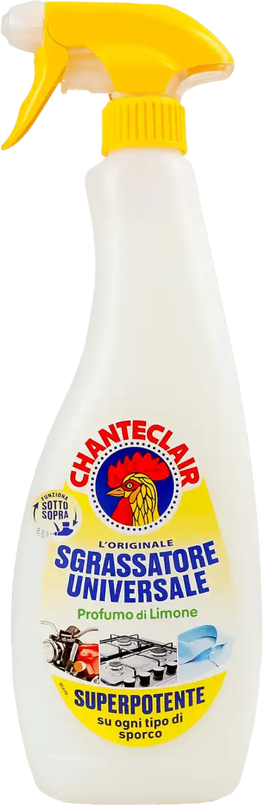 Чистячий спрей ChanteClair Лимон універсальний 600 мл купити онлайн 1 0