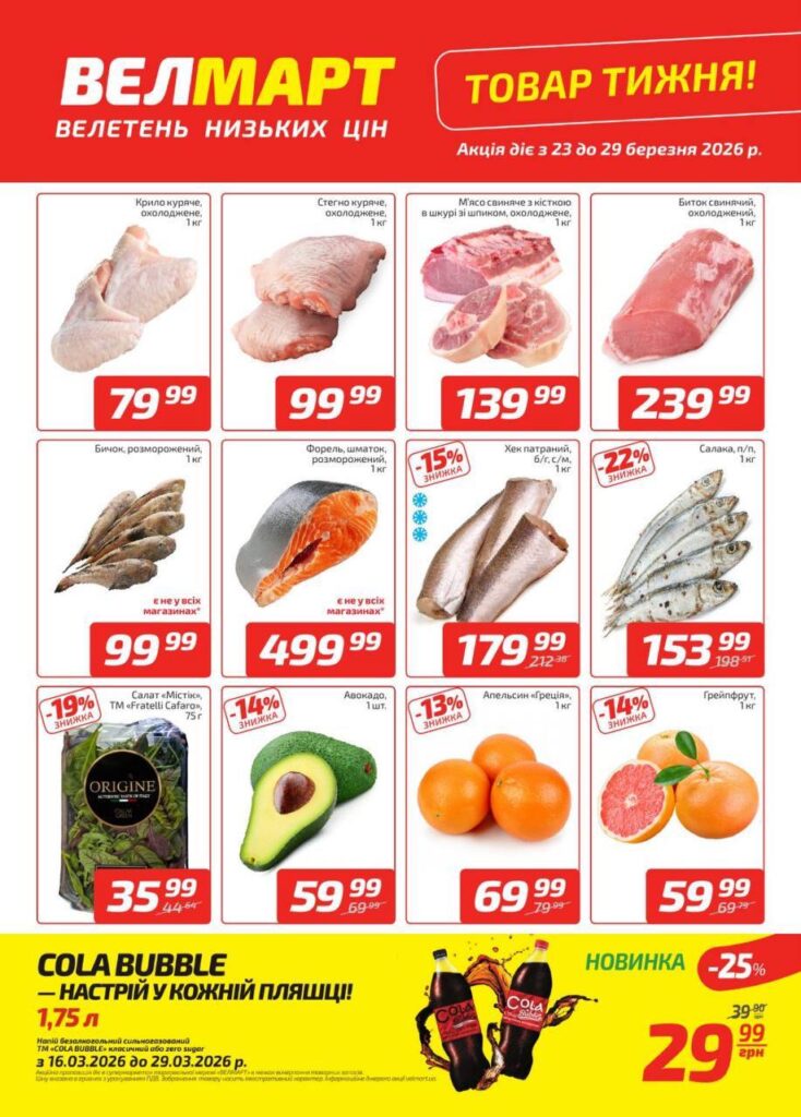 photo 2026 03 23 15 07 54