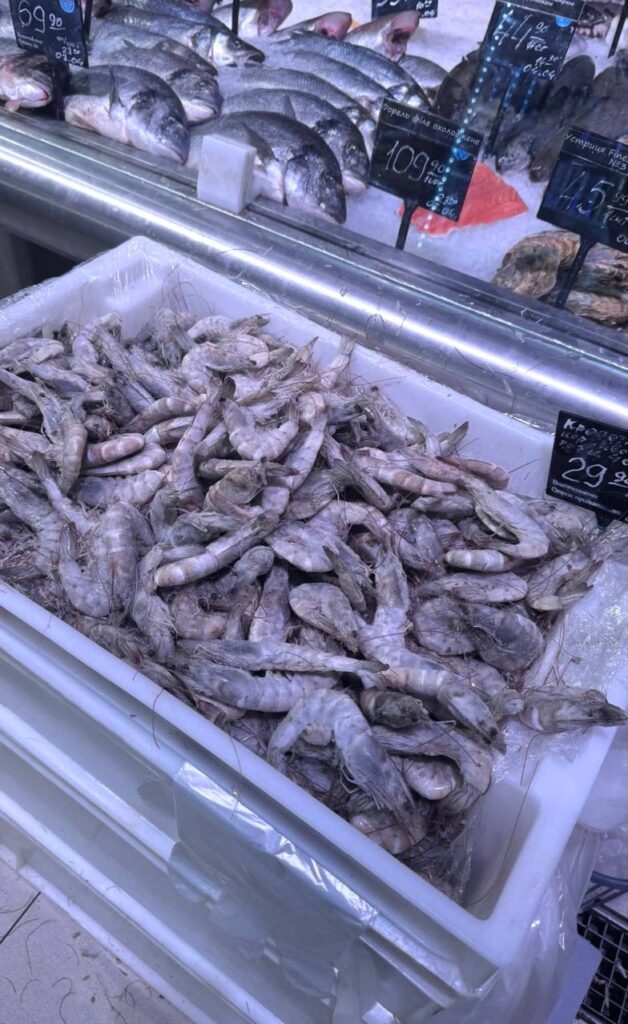 photo 2026 04 03 08 23 55