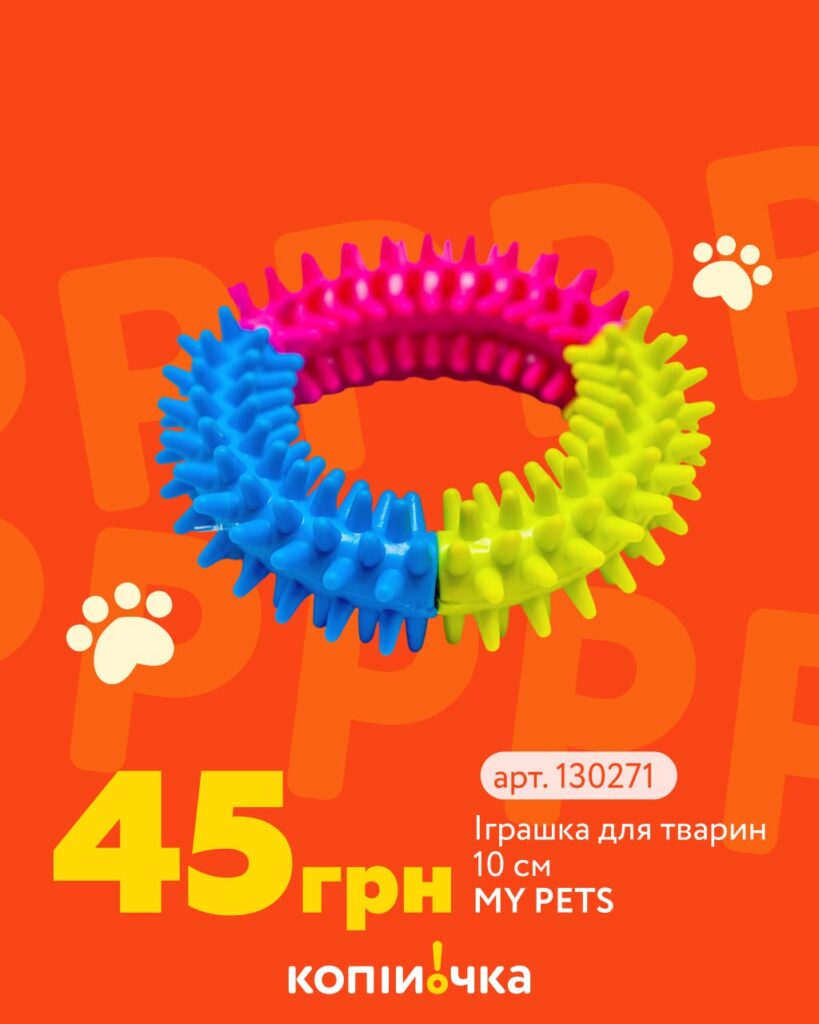 photo 2026 04 17 12 02 24 2