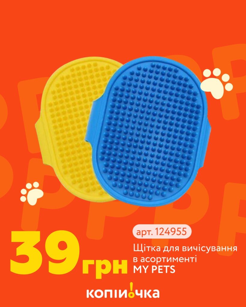 photo 2026 04 17 12 02 24