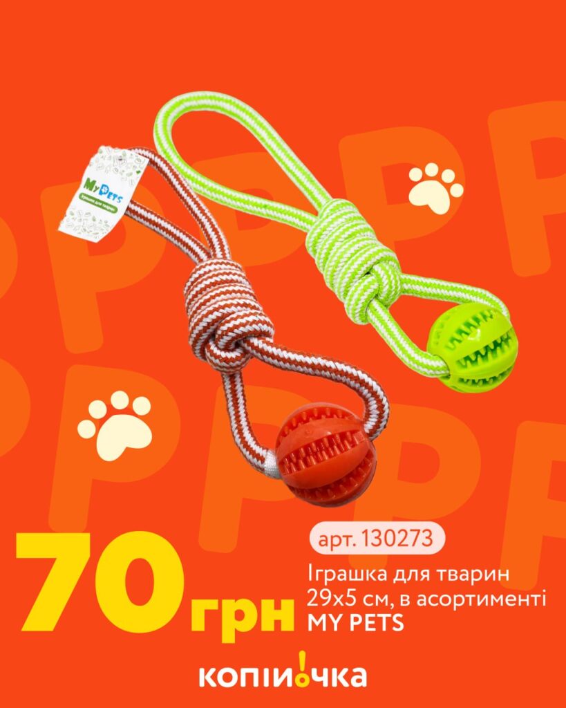 photo 2026 04 17 12 02 25 2