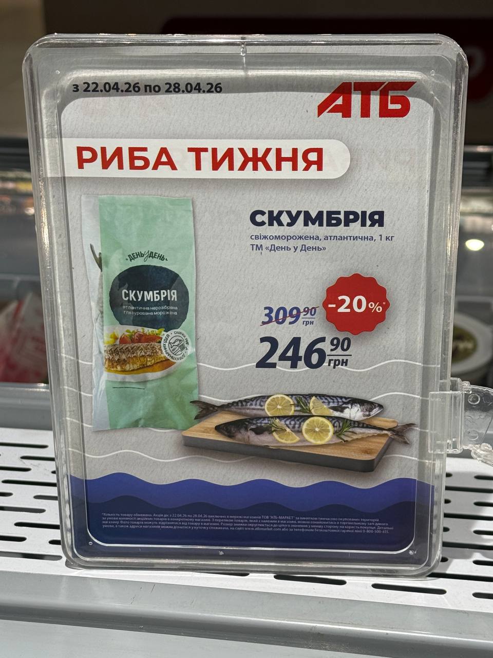 photo 2026 04 22 14 37 18